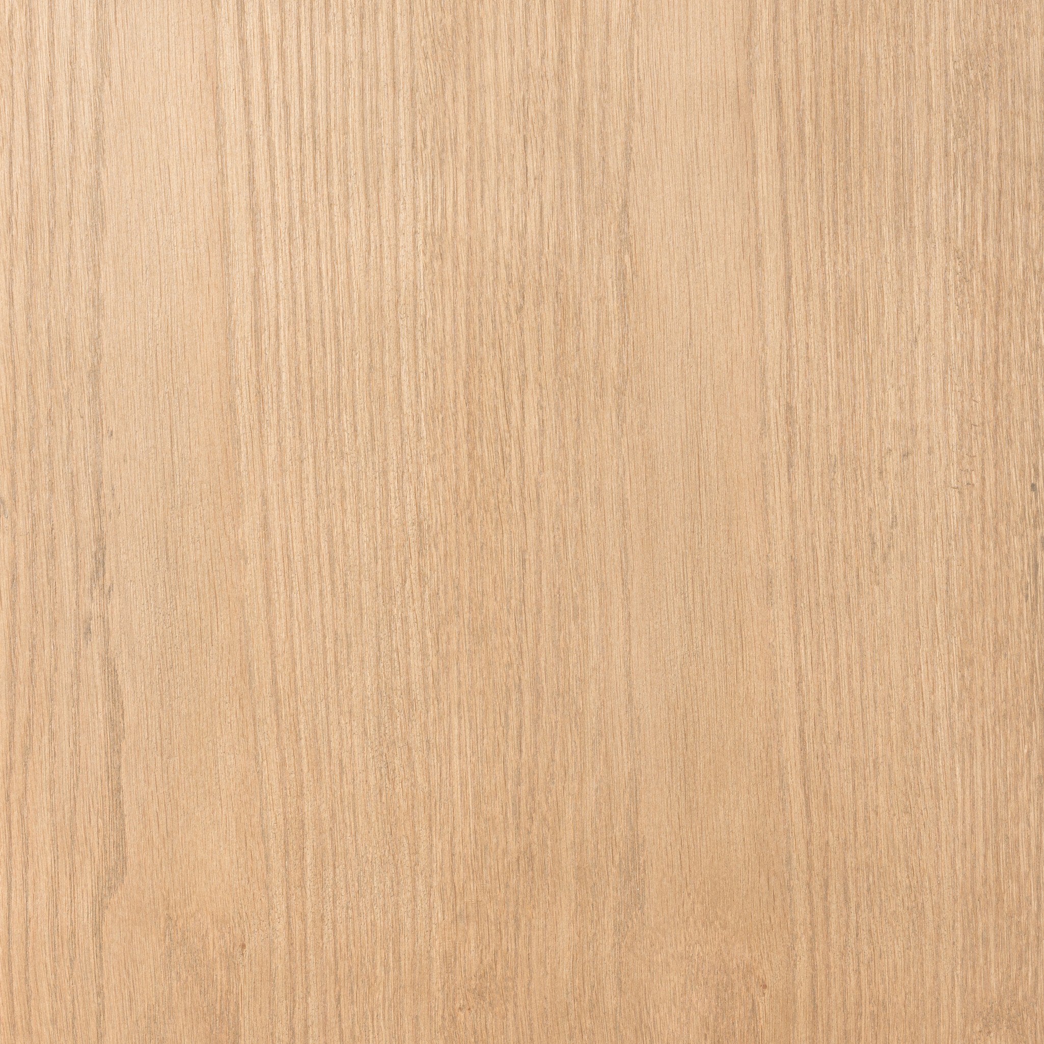 Tolle Cabinet in Drifted Oak — interior shelving detail