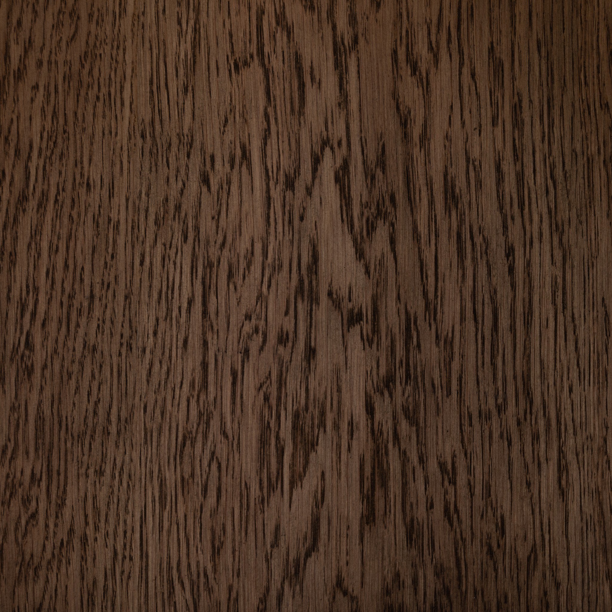 Tolle Cabinet in Drifted Matte Black — glass door and oak grain detail